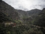 En Algérie, mars 2020. ©Houcine Haddouche