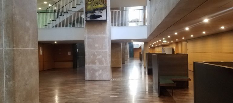 « Non respect du confinement » et violences conjugales : quelle justice à Lyon sous Covid-19 ?