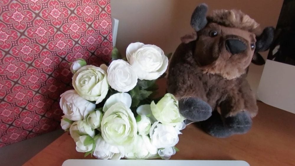 Sur le bureau, un fond personnalisé pour chaque classe : une peluche bison et un bouquet de fleurs pour les 6e. Photo envoyée par l'enseignante.