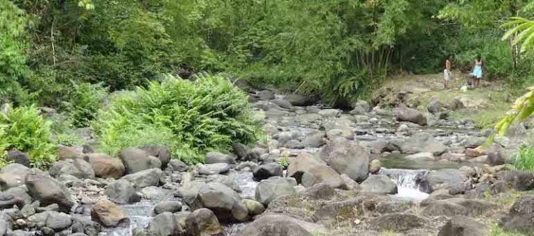 [PODCAST] Anthropocène, biodiversité et perception des paysages