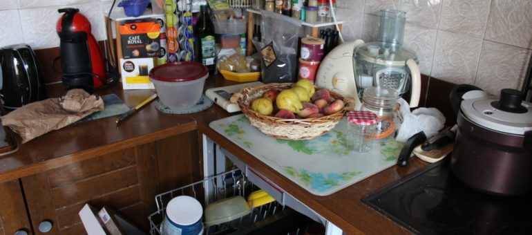 Une passionnante « Histoire de la domesticité » dans le Rhône et la Loire