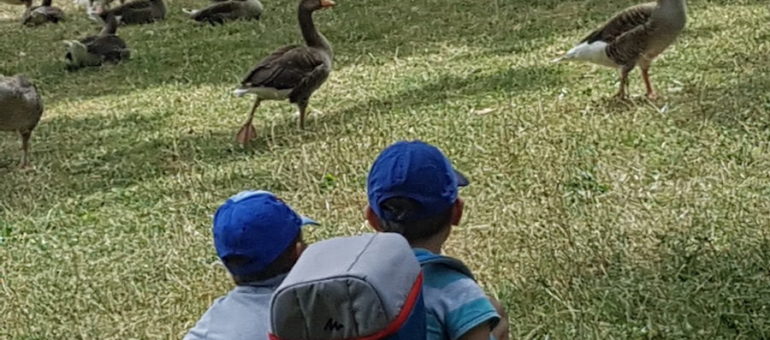 « Musulmane, je fais l’école à la maison et je me sens stigmatisée »