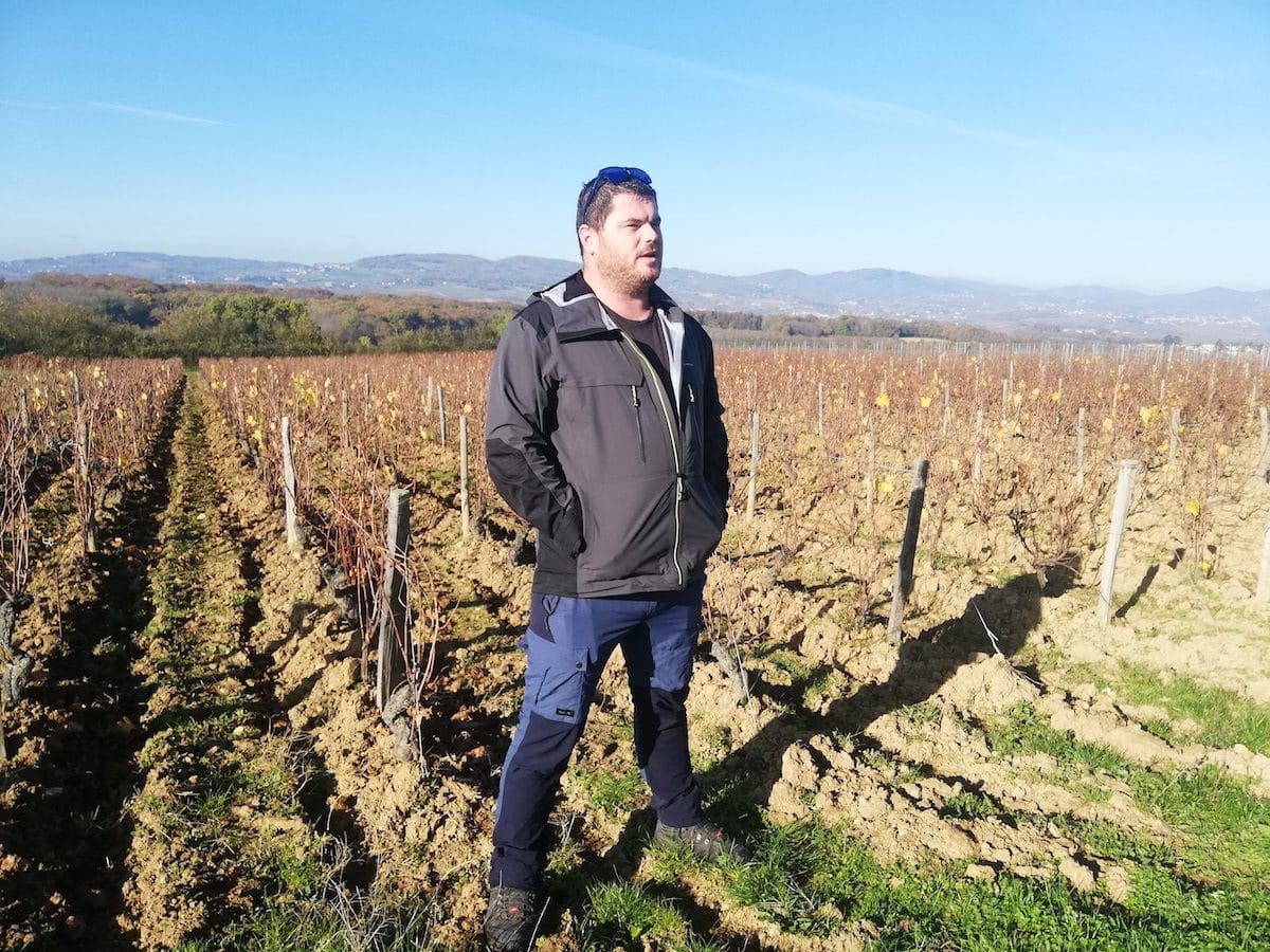 Raphaël Saint-Cyr, dans ses vignes d'Anse dans le Beaujolais en novembre 2020. ©FD/Rue89Lyon