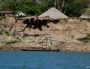 Usumacinta