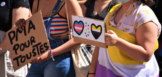 A Lyon, l’extrême droite attaque la manifestation pour la fierté lesbienne