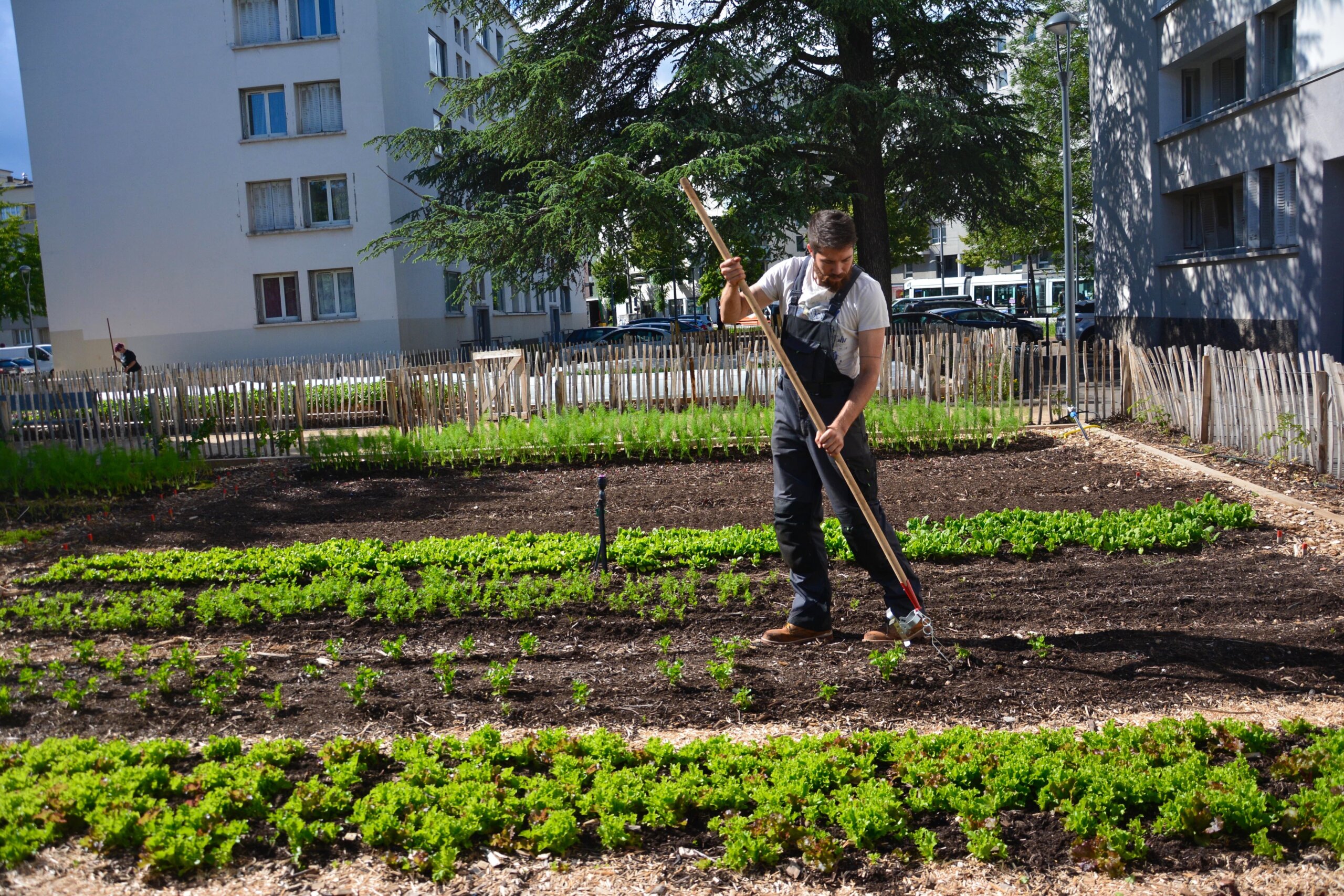 ferme urbaine Lyon Nicolas Gauthier au travail