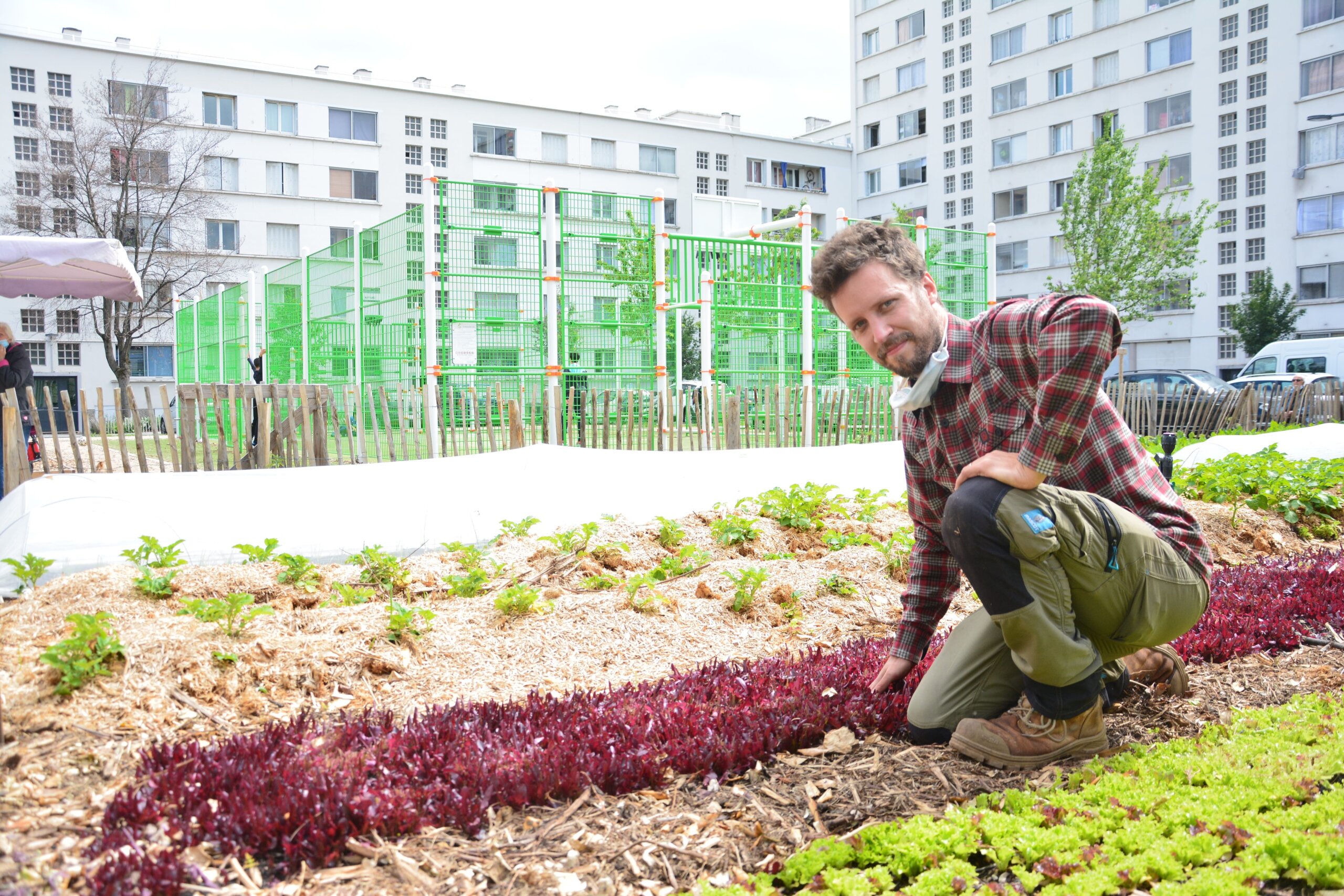 Une ferme urbaine dans Lyon : « Si ça marche ici, on pourra le faire partout »