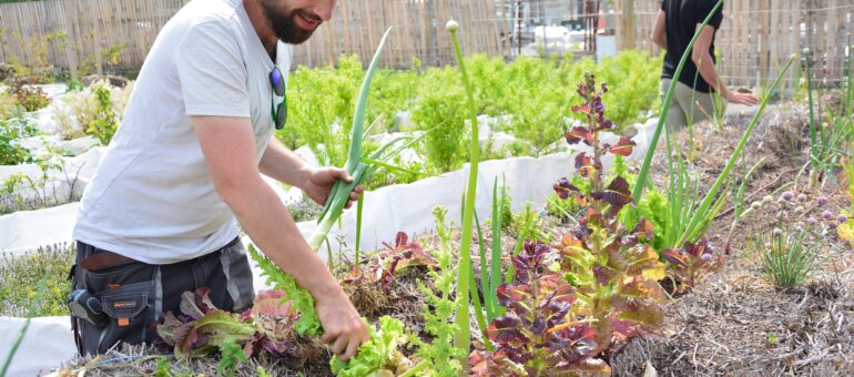 À Lyon-Gerland, une ferme urbaine pousse sur le bitume avant de migrer sur les toits