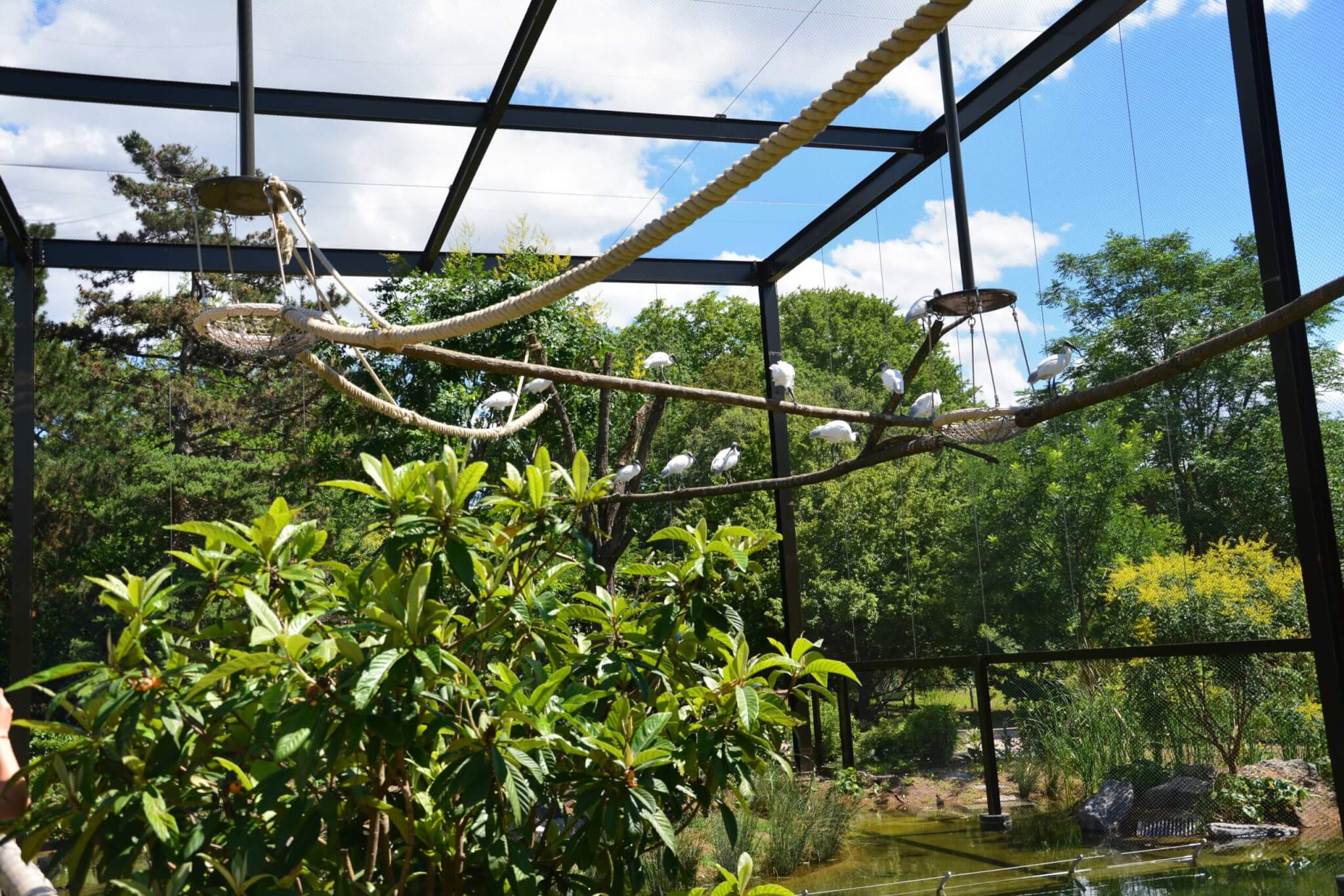 Le nouvel espace du parc de la tête d'or