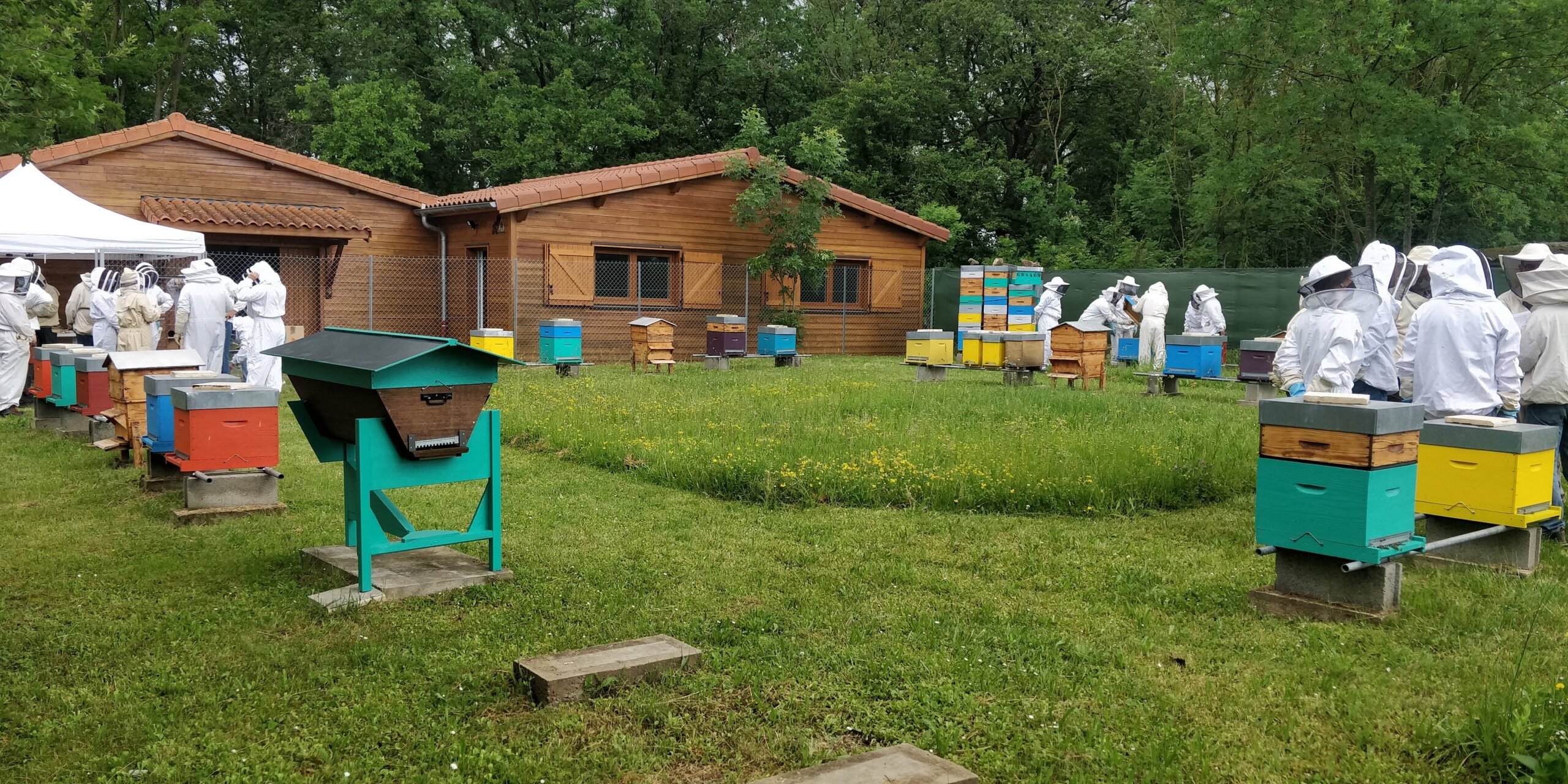 Le syndicat des apiculteurs du Rhône qui propose des formations à l'apiculture, à l'école de Marcy-l’Etoile, sur le campus de l’école vétérinaire VetAgroSup