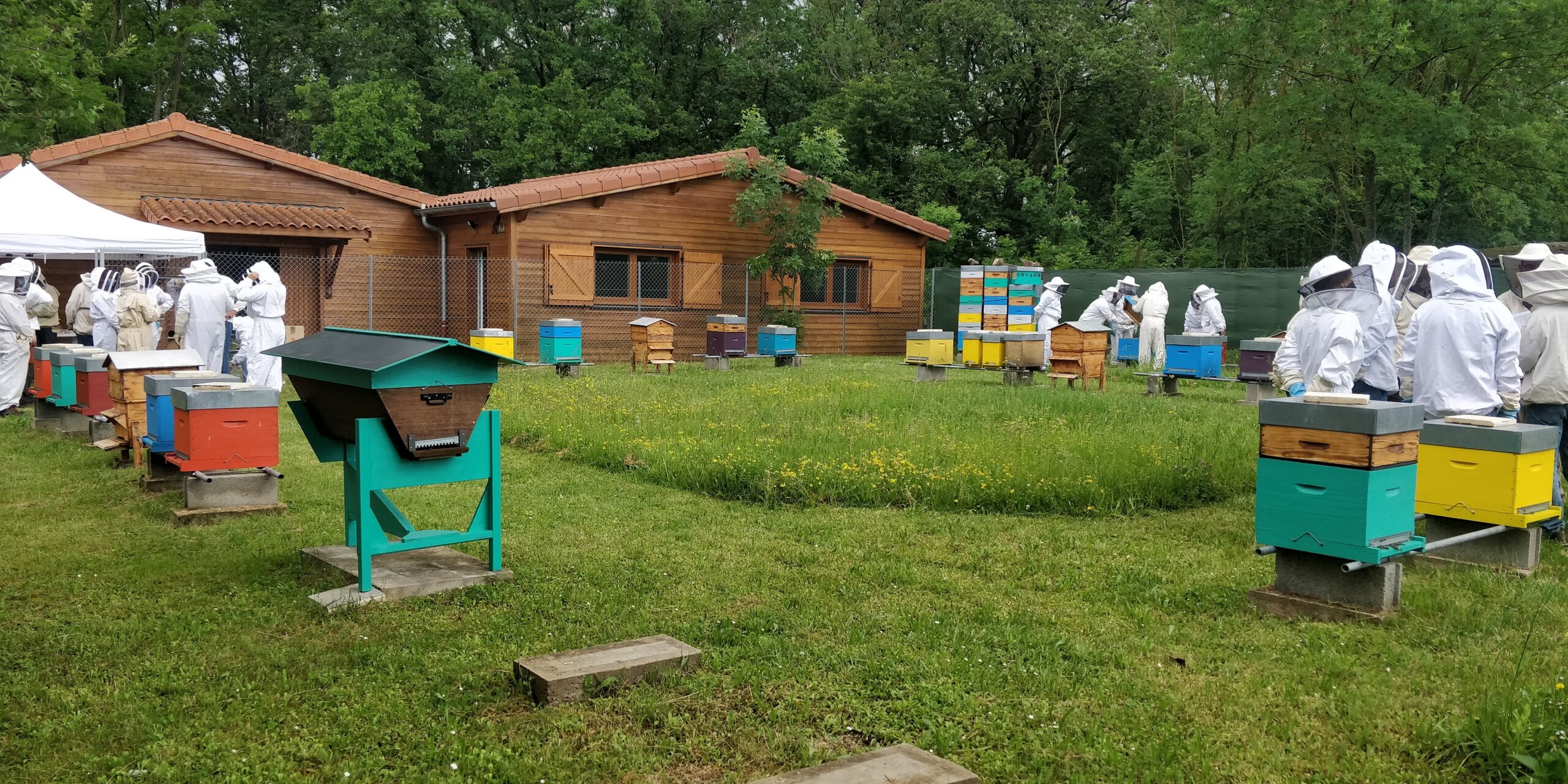 Le syndicat des apiculteurs du Rhône qui propose des formations à l'apiculture, à l'école de Marcy-l’Etoile, près de Lyon, sur le campus de l’école vétérinaire VetAgroSup