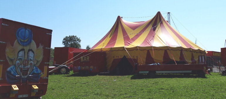 Un collectif « pour des cirques sans animaux » créé à Vaulx-en-Velin : une première dans la métropole de Lyon