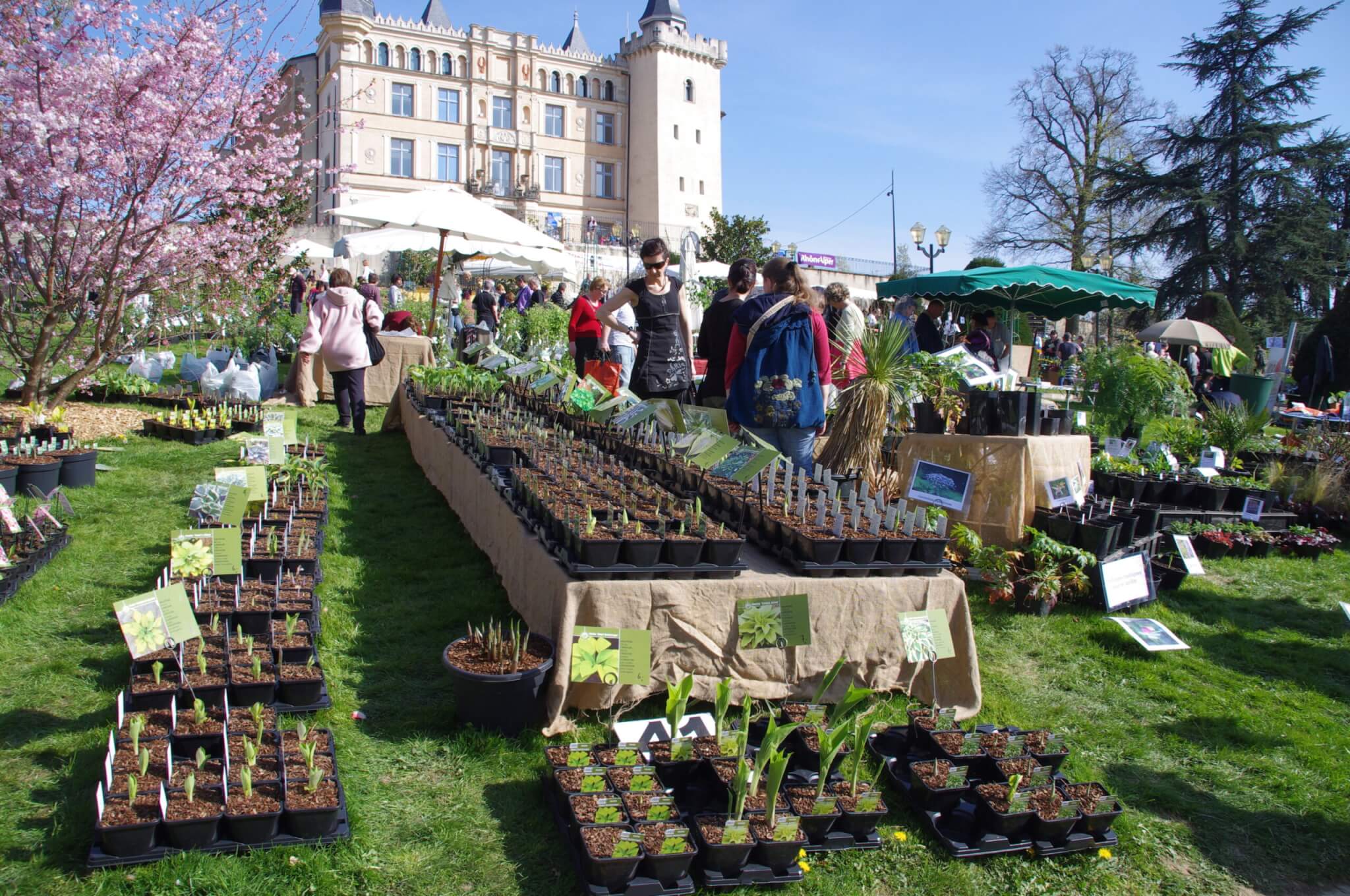 Foire aux plantes Saint-Priest