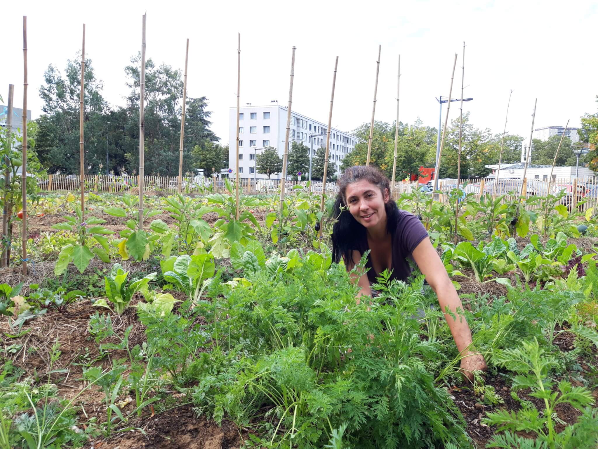 Ferme urbaine à Lyon-Duchère : « Les habitants pensaient que le potager ne leur était pas destiné »