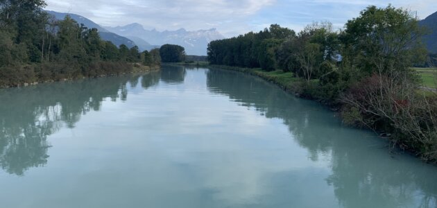 « Certaines espèces de poissons se raréfient dans les eaux du Rhône »