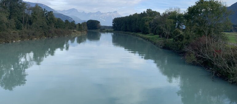 « Certaines espèces de poissons se raréfient dans les eaux du Rhône »