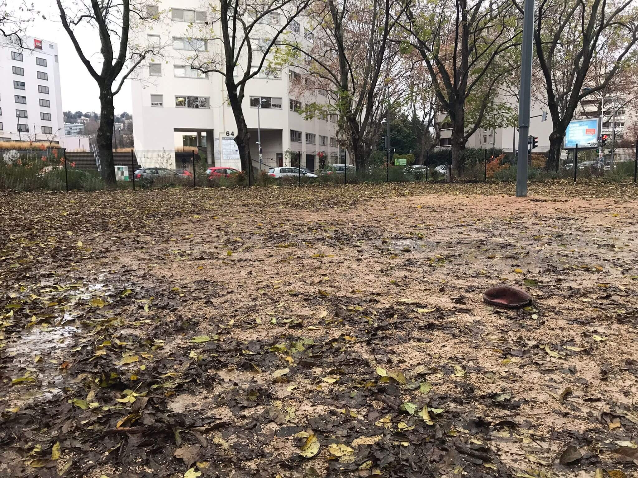 Parc à chien aménagé récemment à Gerland, Lyon 7ème. 