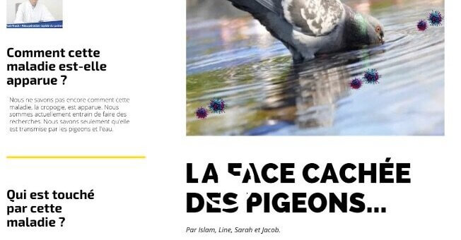 Dans les quartiers Nord de Marseille, des ateliers pour inventer des fake news