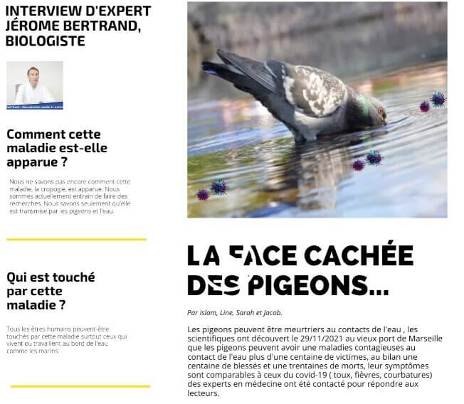 « La face cachée des pigeons », l’une des deux fake news imaginée durant l’atelier (capture d’écran du site d’Ancrages)