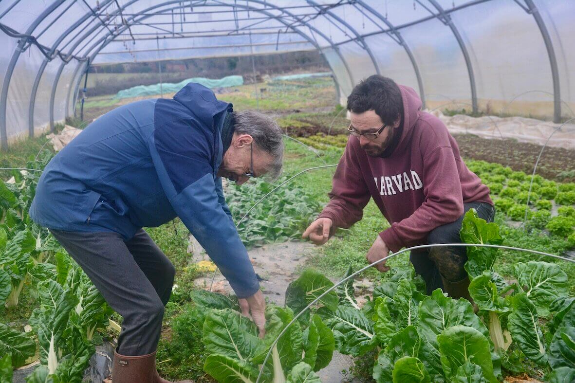 Des paysans et des blettes de la ferme