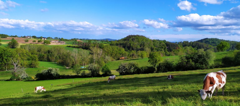 Dans le Rhône, 1 500 fermes en moins en dix ans