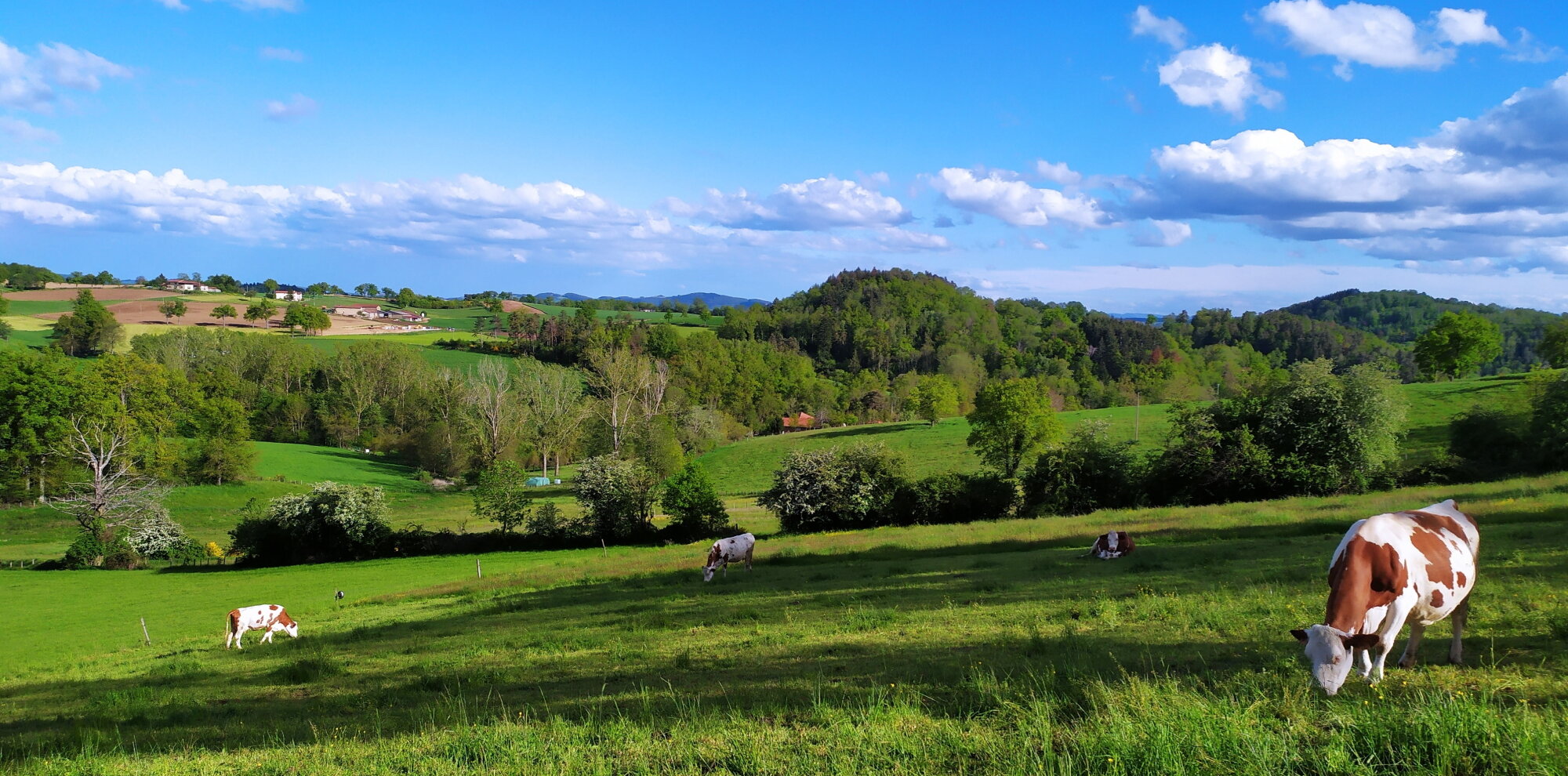 Dans le Rhône, 1 500 fermes en moins en dix ans