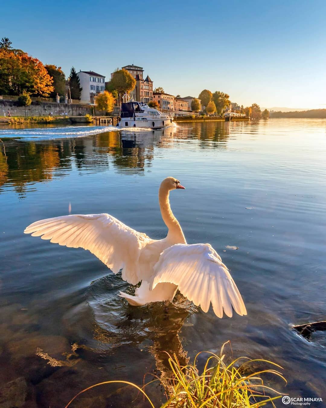 Une photo de l'île Barbe à Lyon d'Oscar Minaya et repostée par Only Lyon en novembre 2021