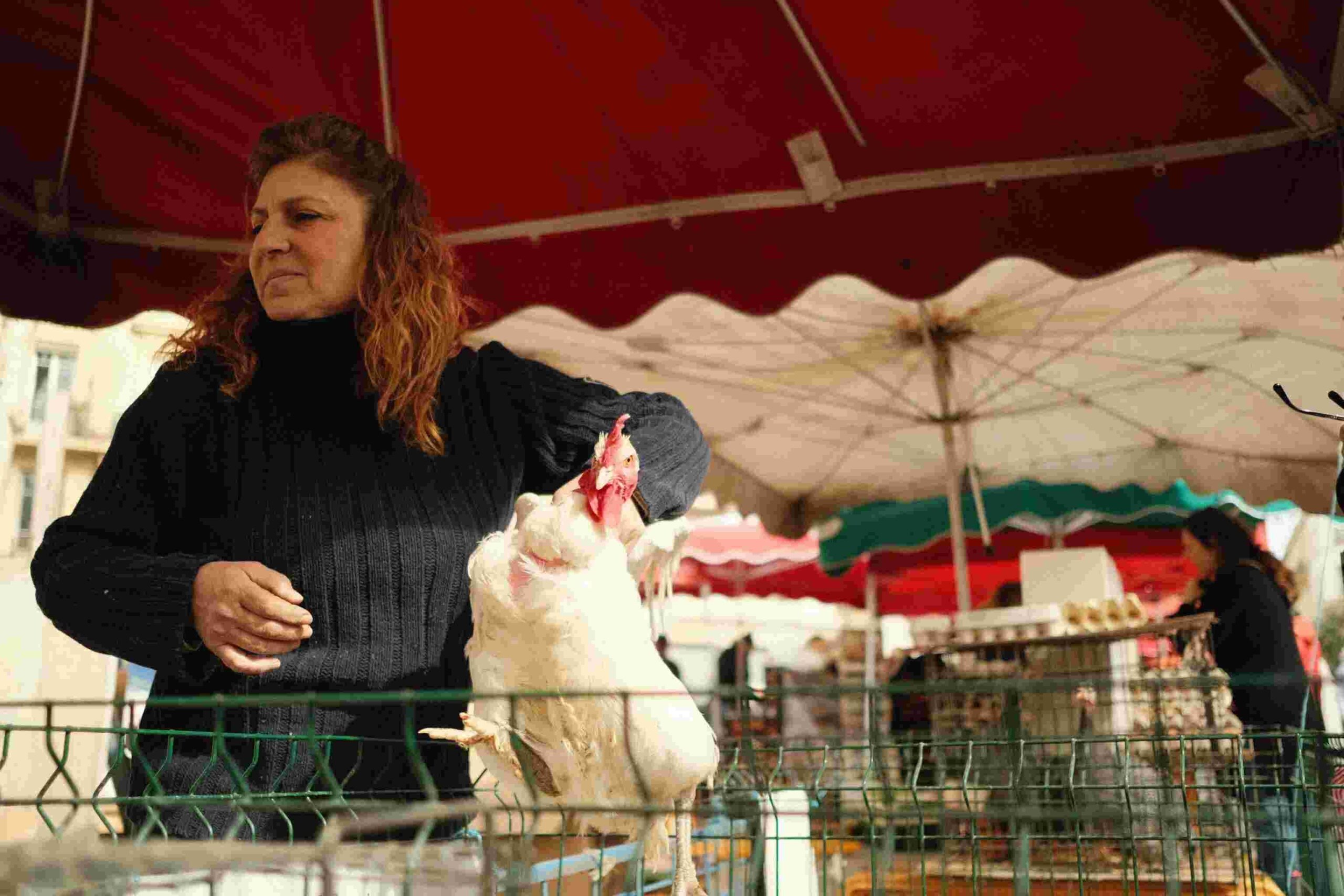 Vendeuse animaux vivants marchés Guichard