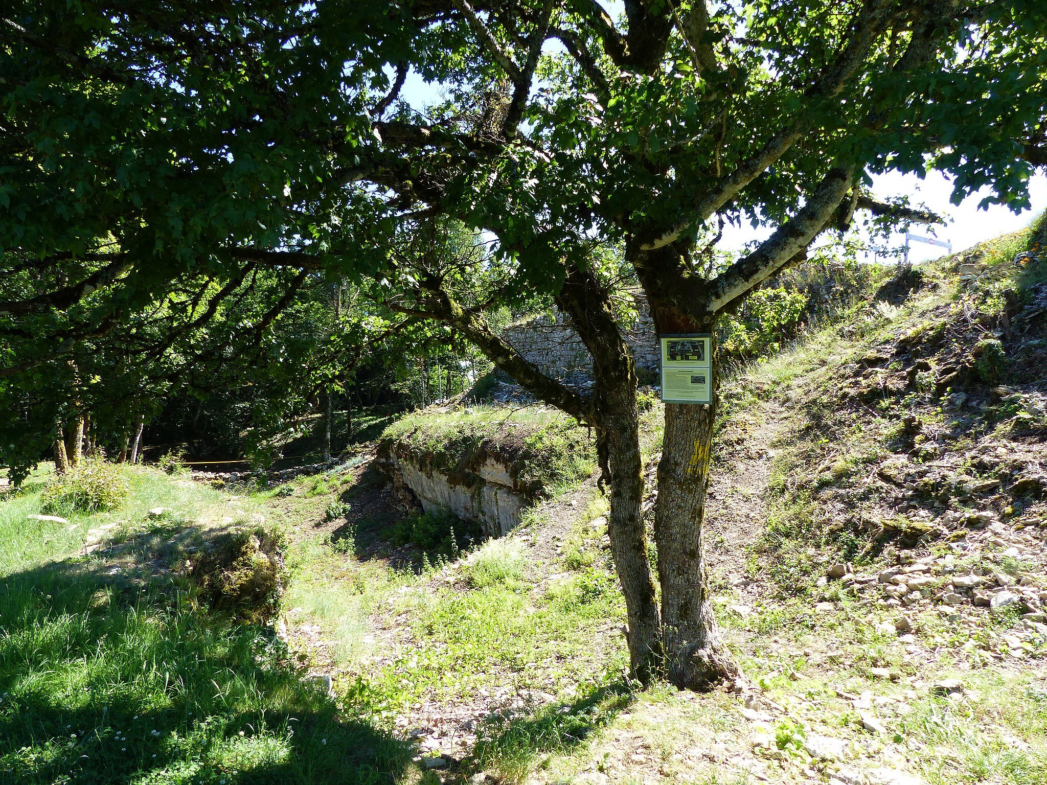 Les vestiges de la forteresse du Mont Luisandre, au terme d'une ballade accessible en train de puis Lyon. 