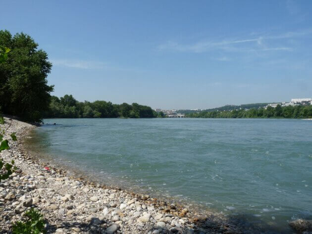 Le fleuve Rhône et ses poissons n'échappent pas aux impacts du réchauffement climatique.