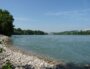 Le fleuve Rhône et ses poissons n'échappent pas aux impacts du réchauffement climatique.