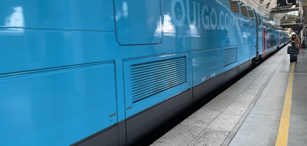 Retrait de la rame du Ouigo Paris-Lyon infestée de cafards