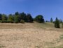 Le parc Buisson Rond, à Chambéry, en plein épisode de sécheresse, le 28 juillet 2022.
