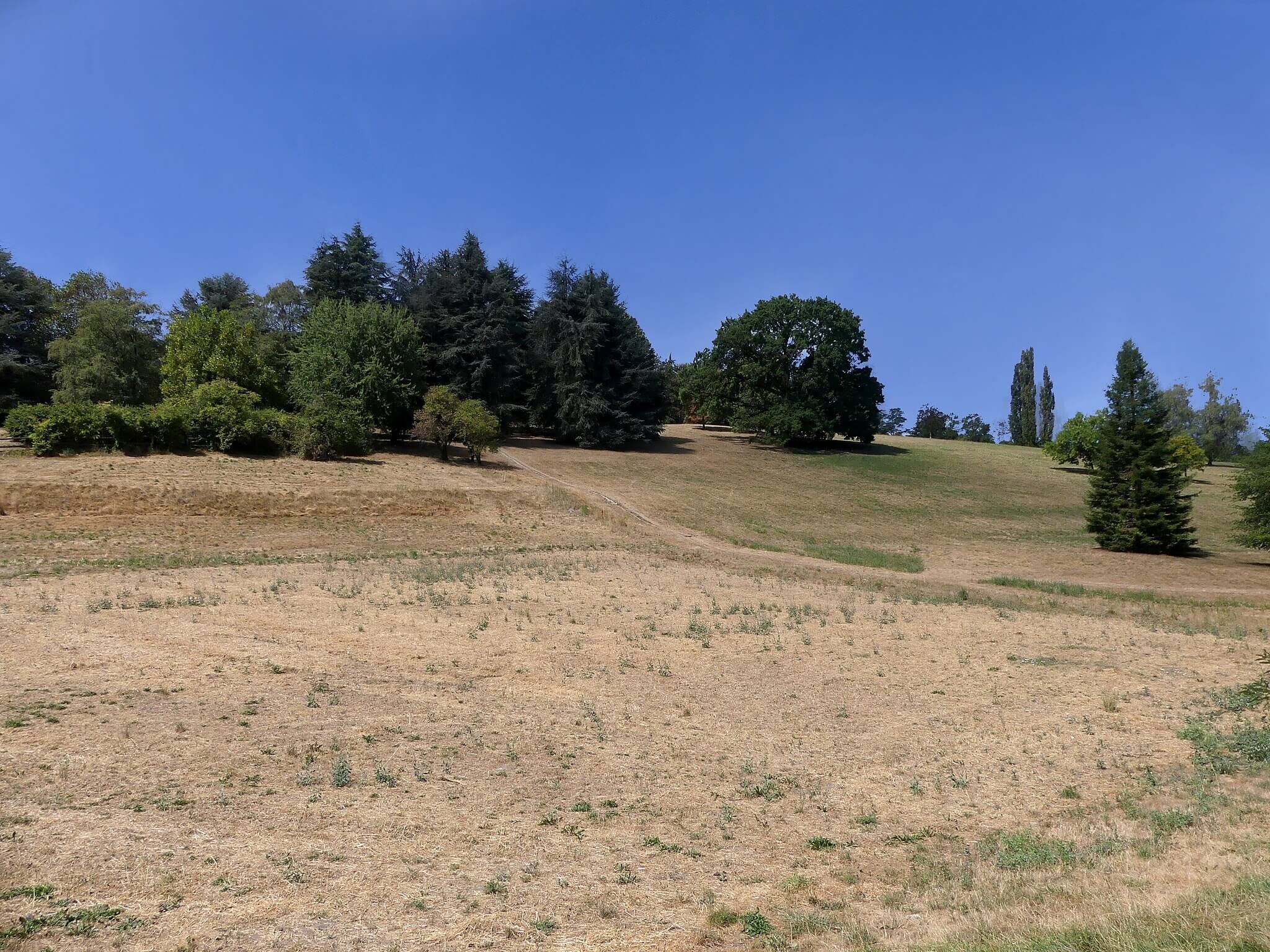 Le parc Buisson Rond, à Chambéry, en plein épisode de sécheresse, le 28 juillet 2022.