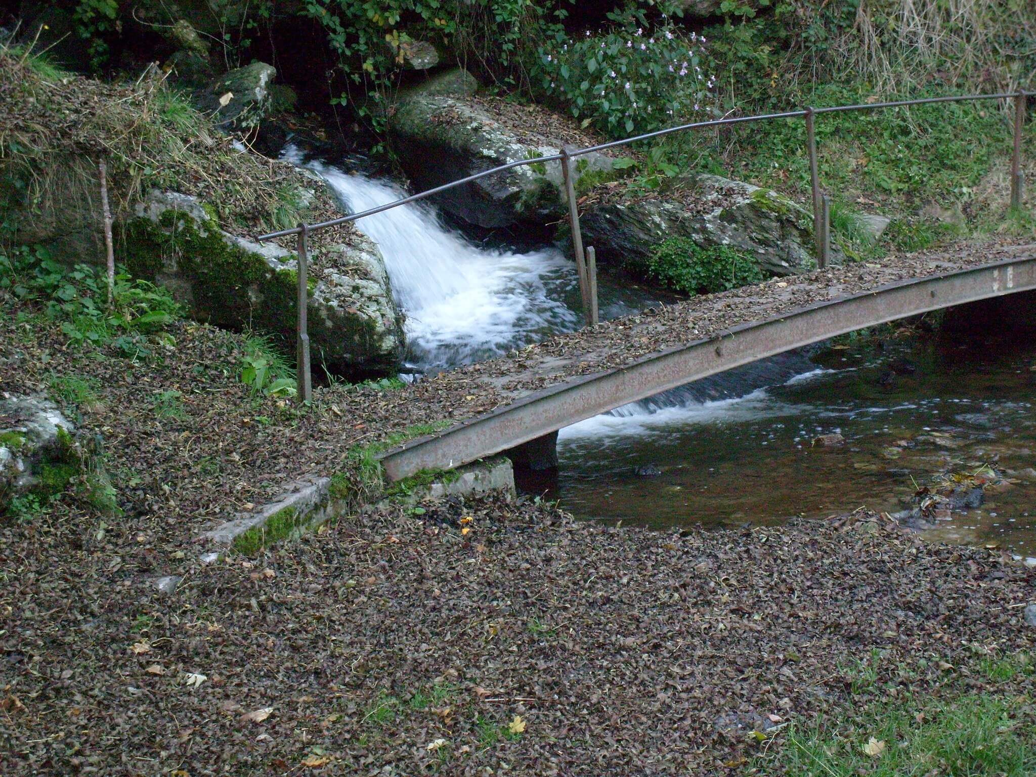 Une balade facile et agréable le long de l'Yzeron, accessible en moins de 20 minutes de bus depuis Lyon.