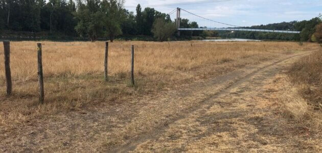 À Lyon et dans le Rhône, doit-on s’attendre à d’autres sécheresses dans le futur ?