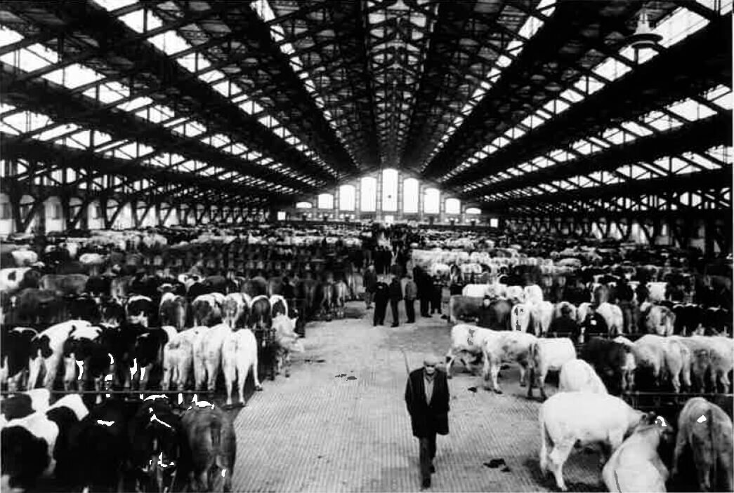La Halle Tony Garnier (Lyon 7e) a aussi servi de marché aux bestiaux. Photo d'archive.