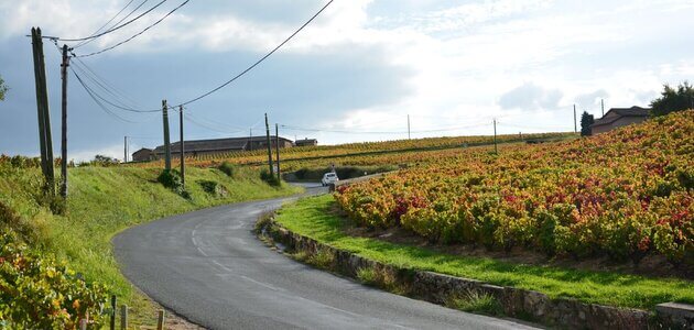 Dans le Beaujolais, le #MeToo du vin attaqué en justice