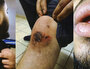 Naïm violences policières Vaulx en Velin
