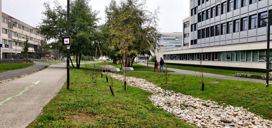 À Lyon, la gestion de l’eau de pluie va bousculer l’urbanisme