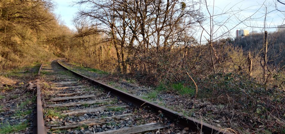 Biodiversité Wauquiez rails