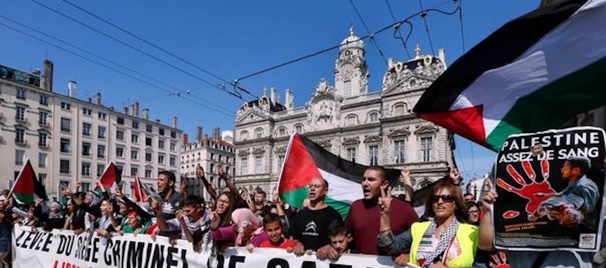 Manifestation à Lyon en soutien à la Palestine, et pour la paix en Israël, en juillet 2014. Image d'archive