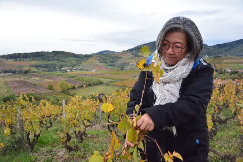 Lan Bertrand vigneronne Beaujolais