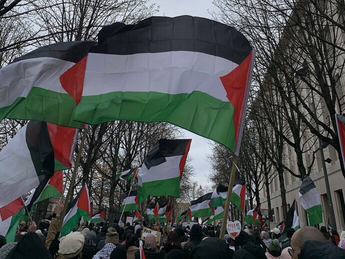 Manifestation Palestine Lyon