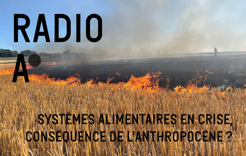 Radio anthropocène - Crise systèmes alimentaires 2 - 31 janvier 2024