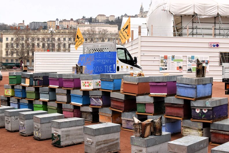 Ce lundi 5 février, les apiculteur.trices ont déposé plus d'une centaine de ruche sur la Place Bellecour, à Lyon ©Laury Caplat/Rue89Lyon