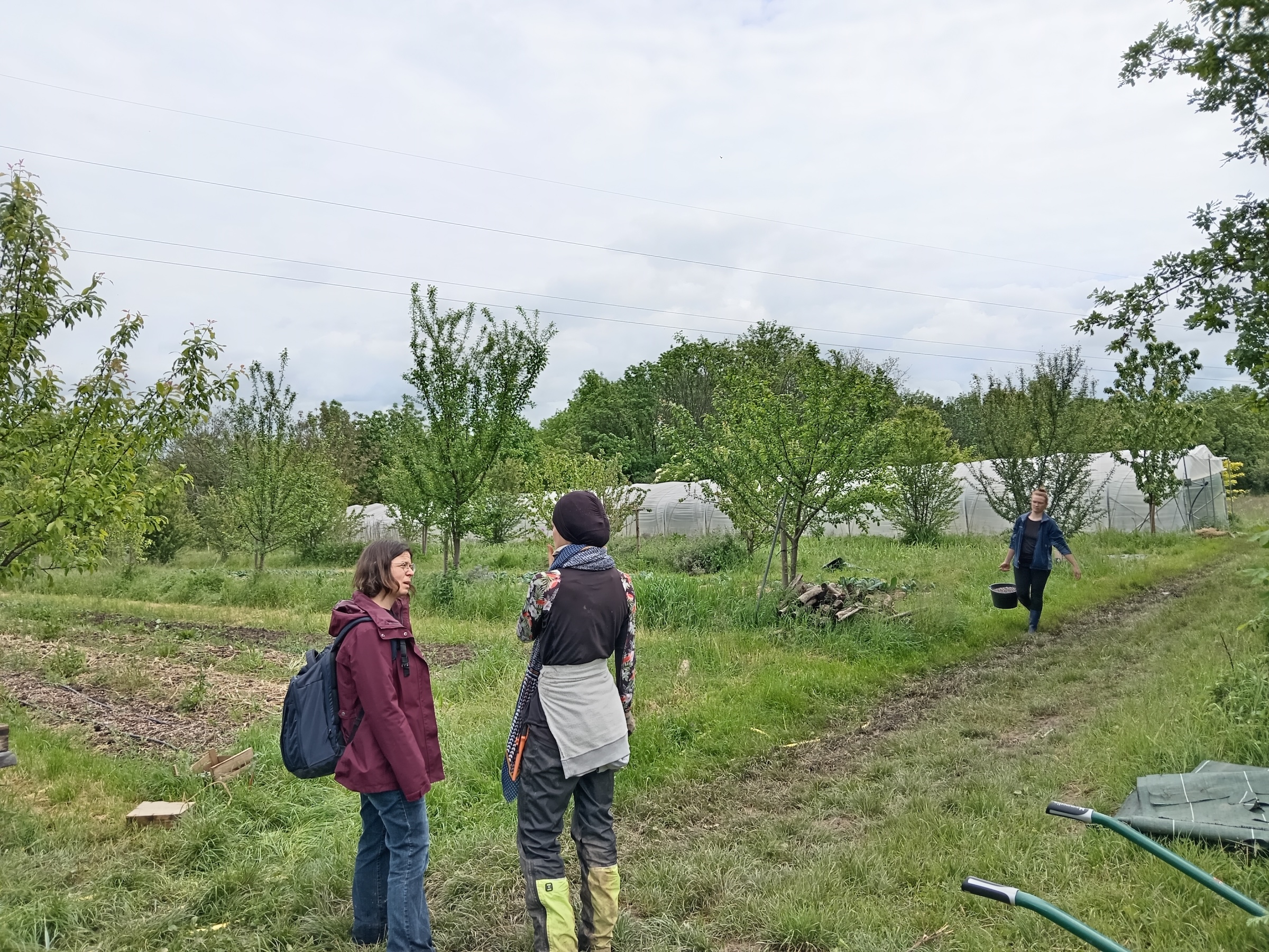 Dans les Monts d’Or, l’expérience d’une ferme agroécologique et féministe