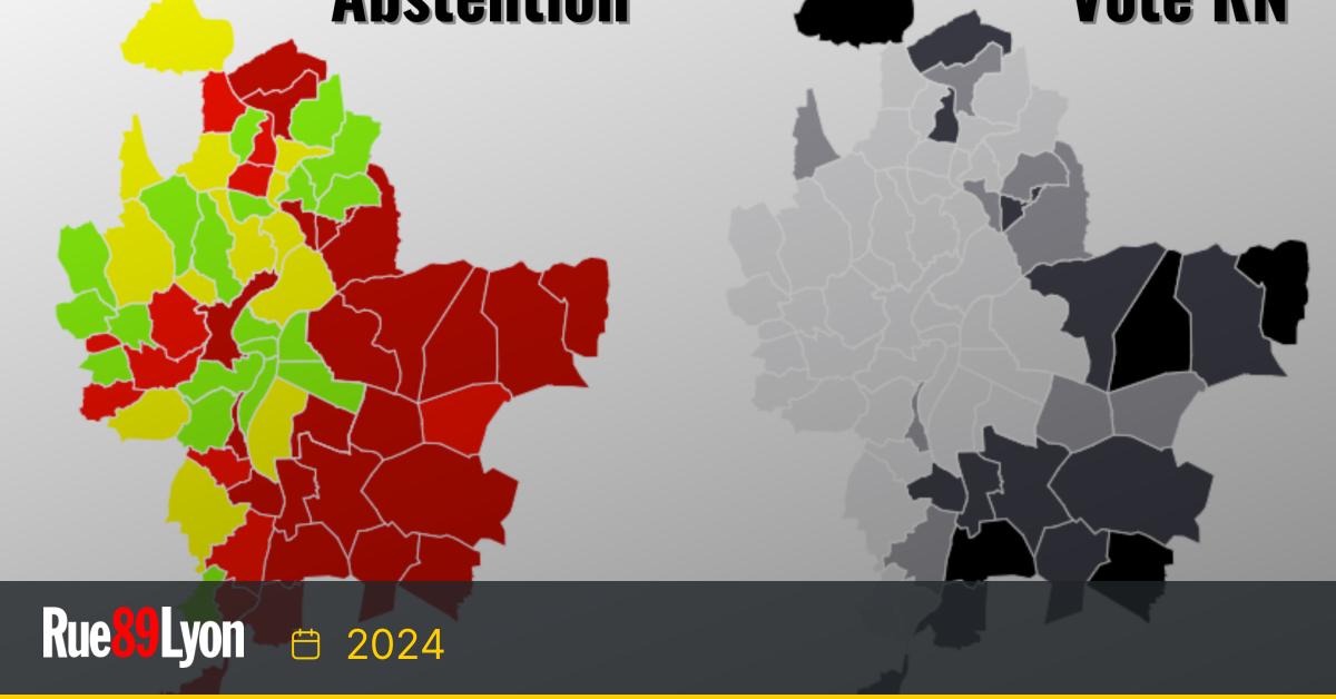 Élections européennes : les enjeux de l'abstention à lyon