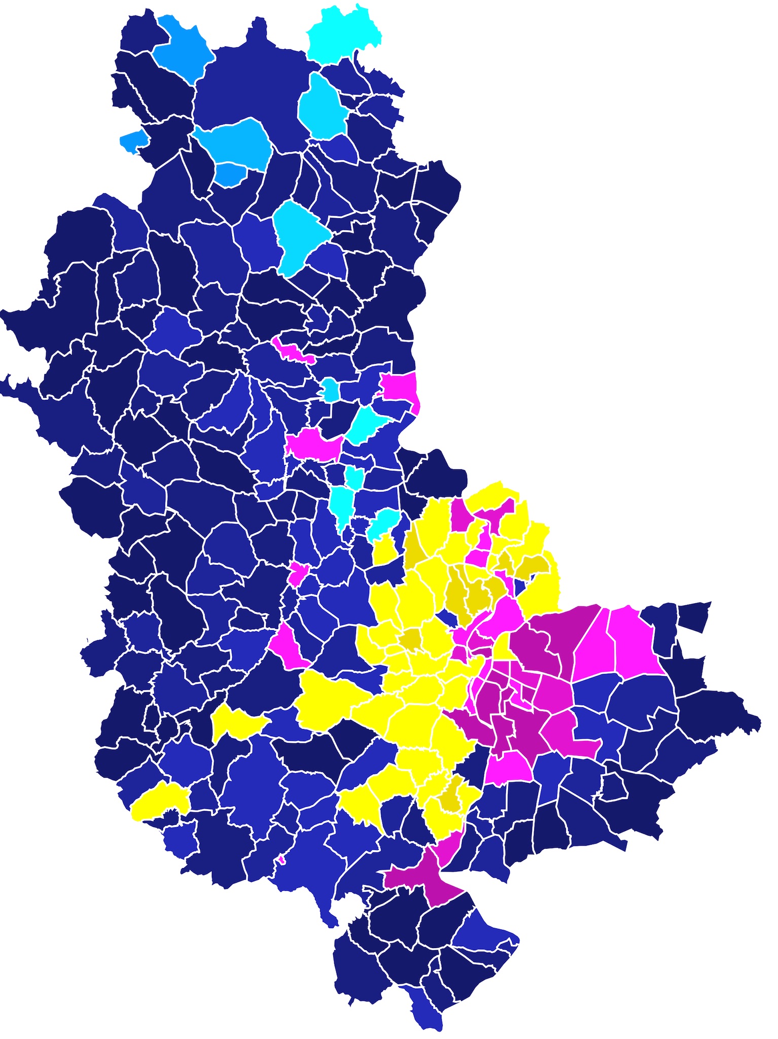 Élections législatives dans le Rhône : les résultats du 1er tour