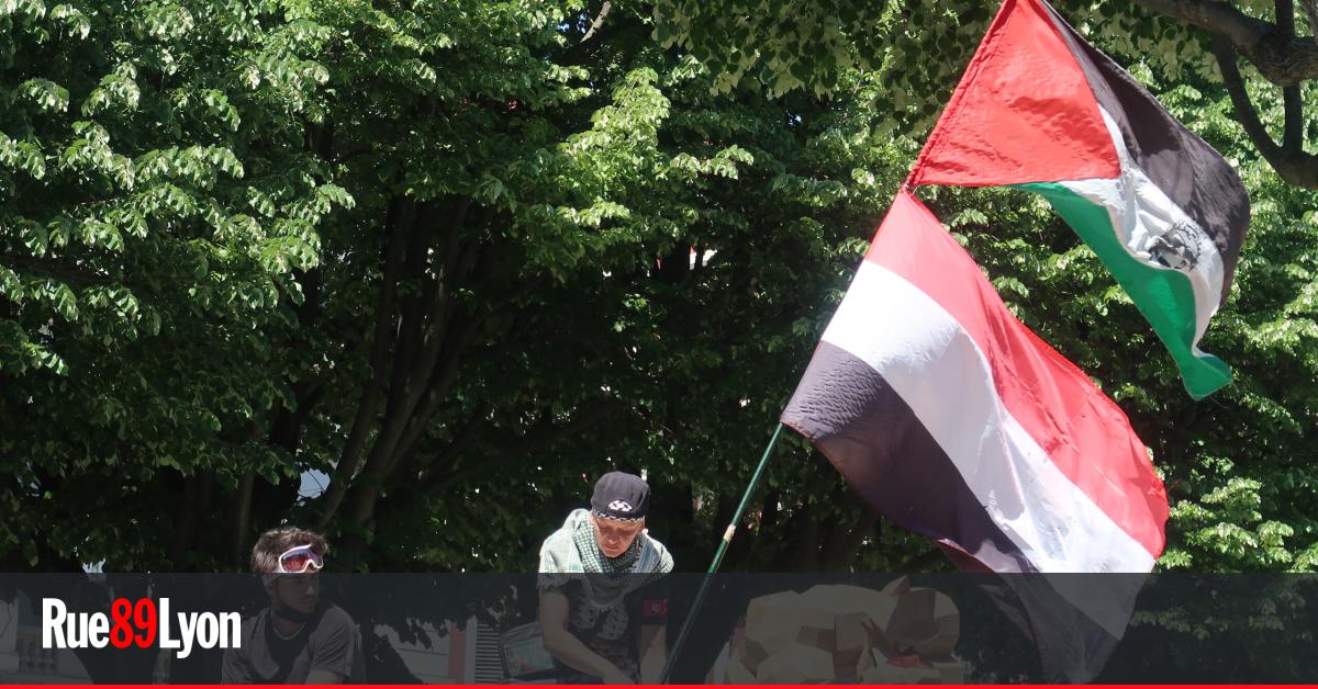 À lyon, une manifestation pour la palestine samedi 7 juin rue89 lyon